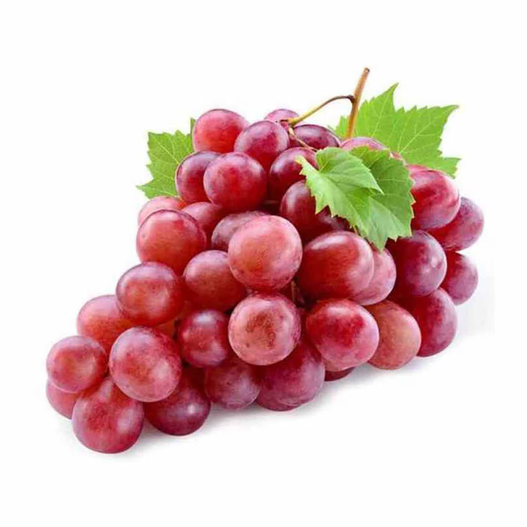 العنب الطائفي الأحمر